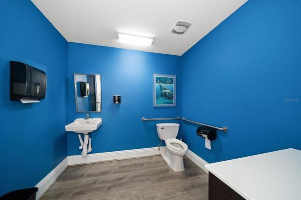 Bathroom, Interior, Wood Texture Flooring