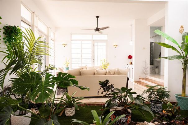 Interior, Pendant Lights