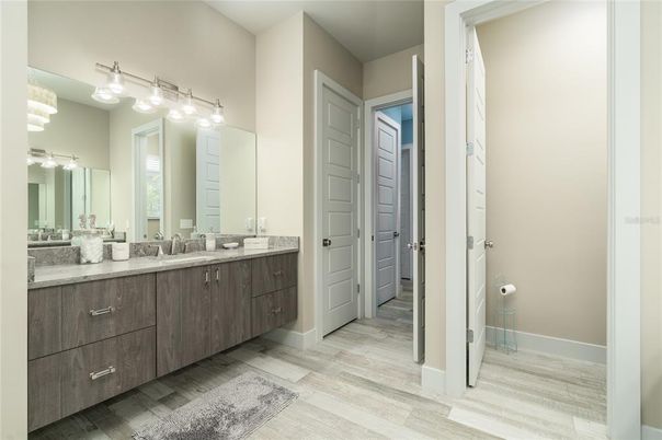 Bathroom, Dual Sink Vanities, Interior, Wood Texture Flooring