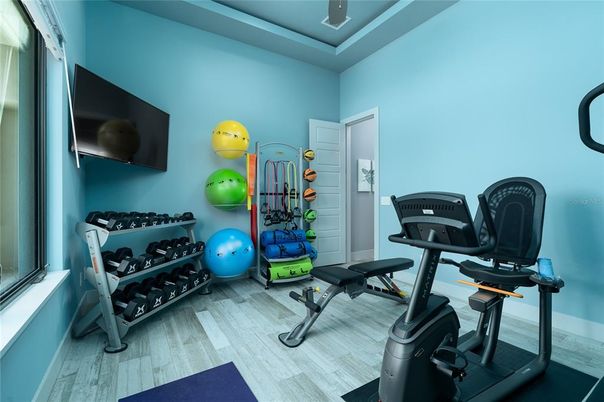 Fitness Equipment, Interior, Wood Texture Flooring