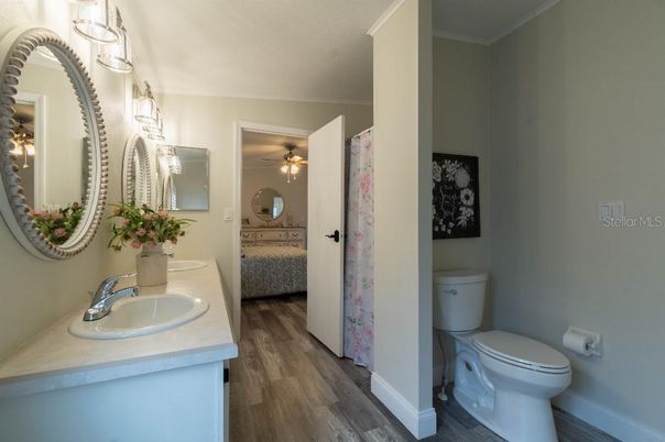 Bathroom, Interior, Wood Texture Flooring