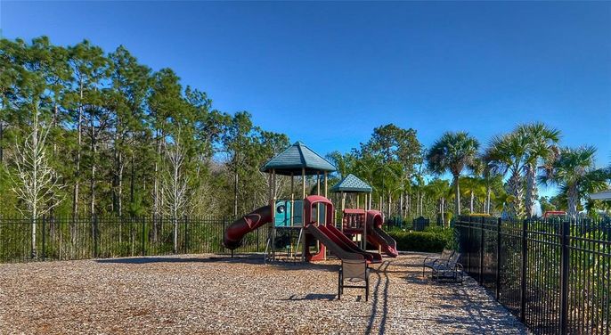 Backyard, Exterior, Playground