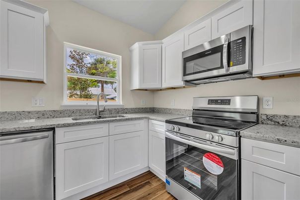 Interior, Kitchen, Stainless Steel Appliances, Wood Texture Flooring