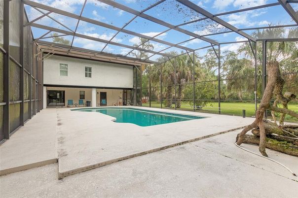 Glass Ceilings, Interior, Pool, Sun Room