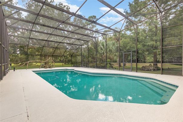 Glass Ceilings, Interior, Pool, Sun Room
