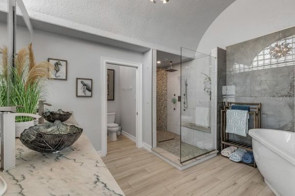 Bathroom, Glass Shower, Interior, Wood Texture Flooring