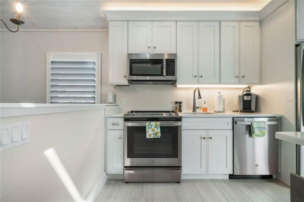 Interior, Kitchen, Stainless Steel Appliances, Wood Texture Flooring