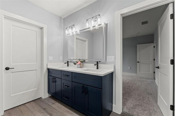 Bathroom, Dual Sink Vanities, Interior, Wood Texture Flooring