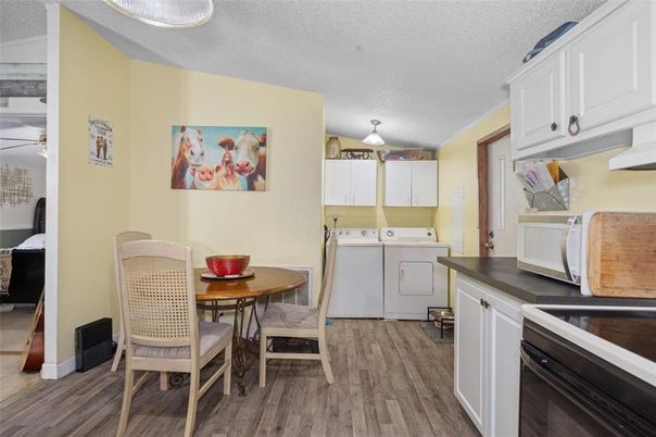 Dining room, Interior, Washer, Wood Texture Flooring