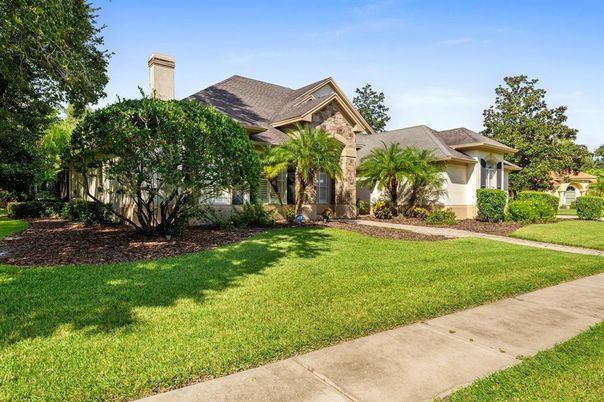 Backyard, Exterior, Facade, French Provincial