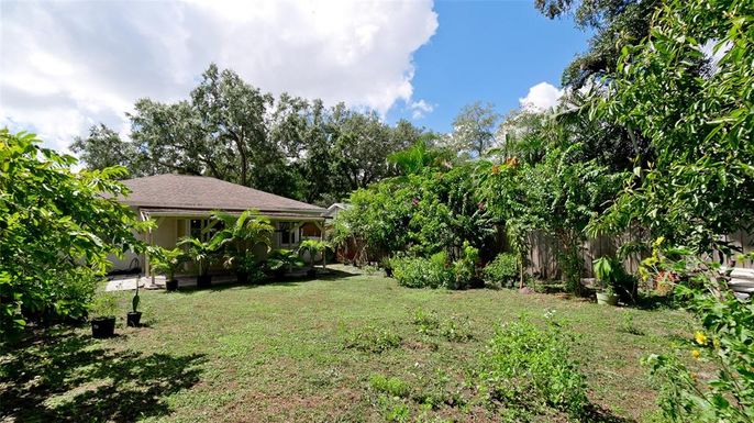 Backyard, Exterior