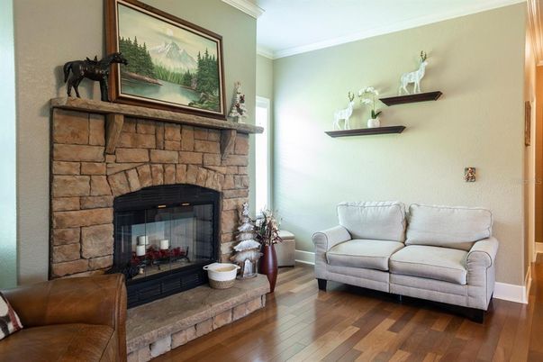 Fireplace, Interior, Wood Texture Flooring