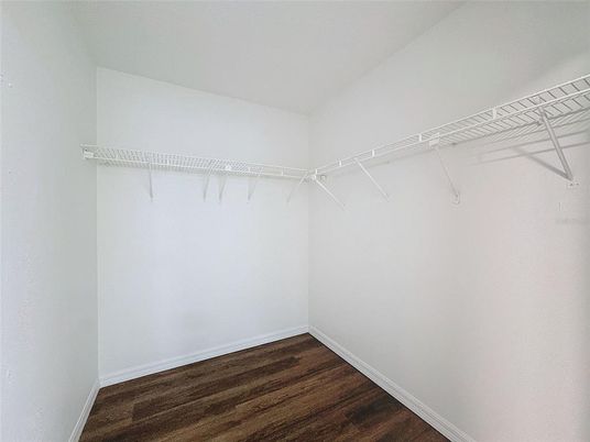 Interior, Walk-in Closets, Wood Texture Flooring