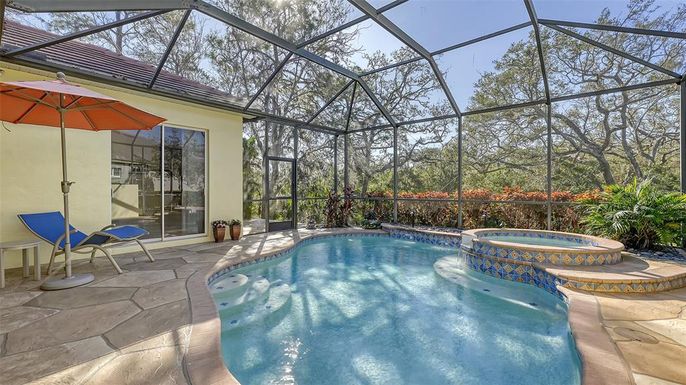 Glass Ceilings, Interior, Pool, Sun Room