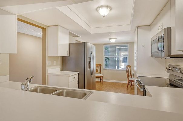 Interior, Kitchen, Stainless Steel Appliances, Wood Texture Flooring
