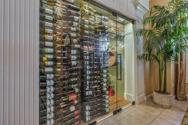 Interior, Wine Storage, Wood Texture Flooring