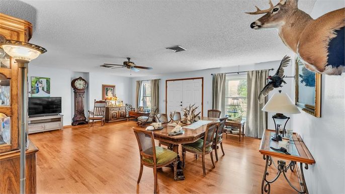 Dining room, Interior, Living room, Wood Texture Flooring