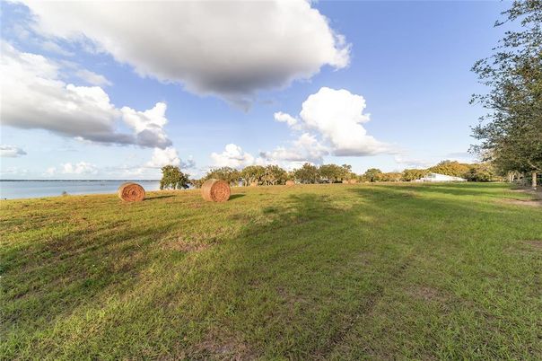 Backyard, Exterior, Water
