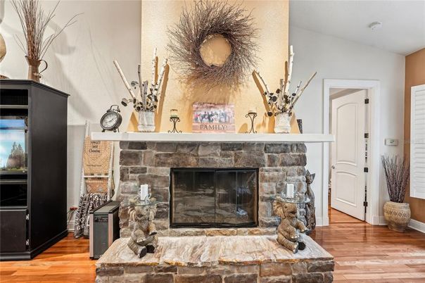 Fireplace, Interior, Wood Texture Flooring
