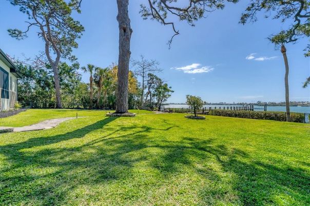 Backyard, Exterior, Water