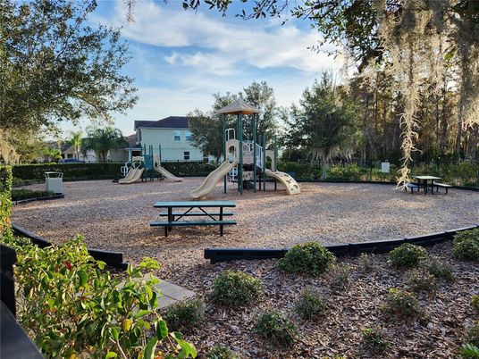 Backyard, Exterior, Playground