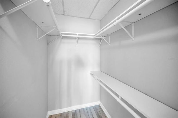Interior, Walk-in Closets, Wood Texture Flooring