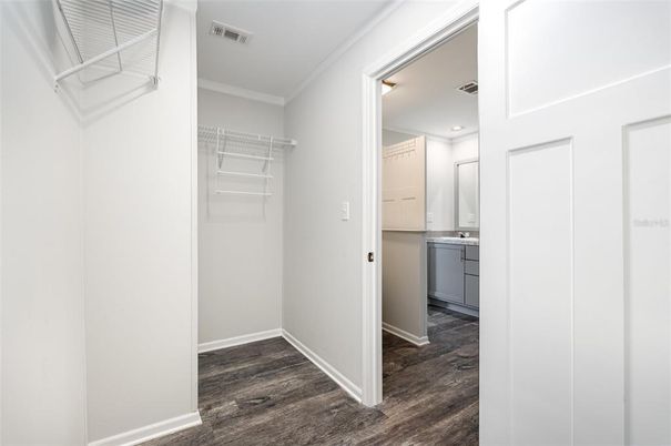 Interior, Walk-in Closets, Wood Texture Flooring