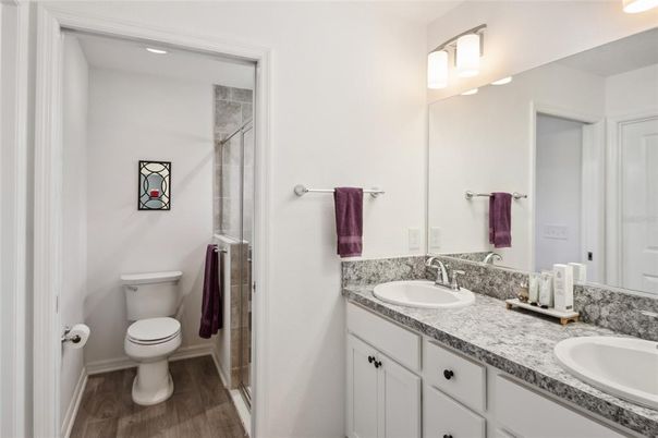 Bathroom, Dual Sink Vanities, Interior, Wood Texture Flooring
