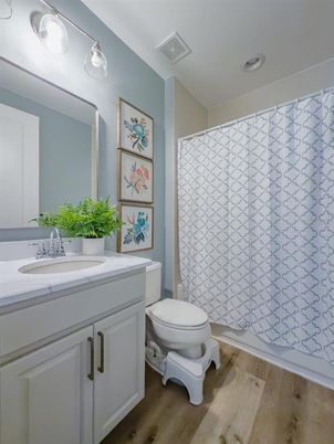 Bathroom, Interior, Wood Texture Flooring