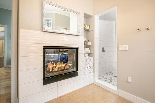 Bathroom, Fireplace, Interior