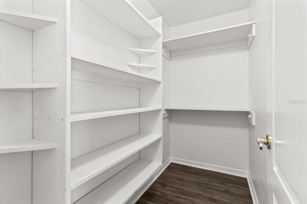 Interior, Walk-in Closets, Wood Texture Flooring