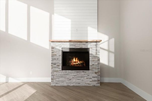 Fireplace, Interior, Wood Texture Flooring