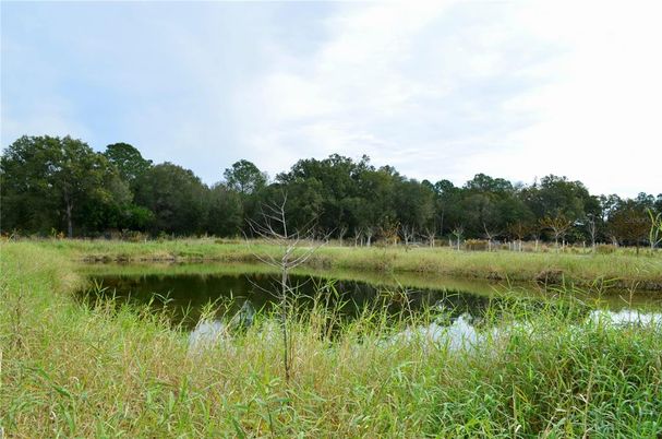 Exterior, Lake