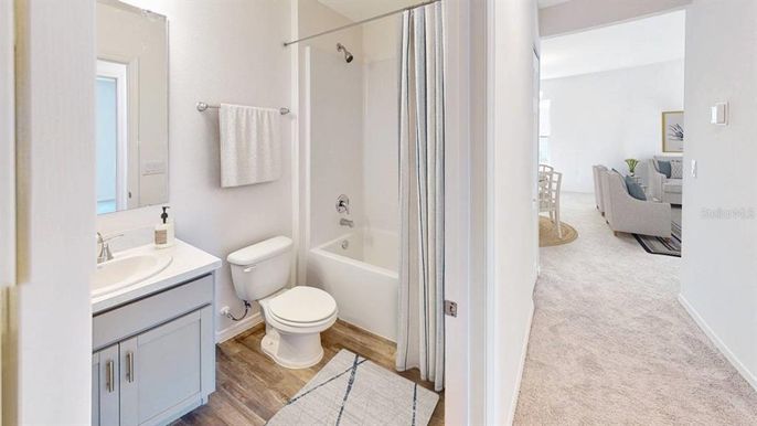 Bathroom, Interior, Wood Texture Flooring