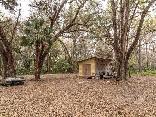 Backyard, Detached Garage, Exterior