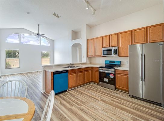 Interior, Kitchen, Stainless Steel Appliances, Wood Texture Flooring