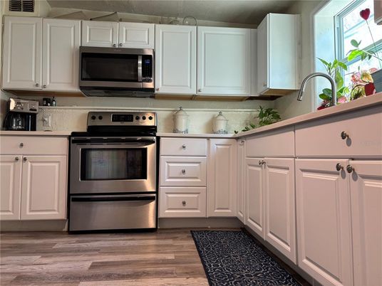 Interior, Kitchen, Stainless Steel Appliances, Wood Texture Flooring