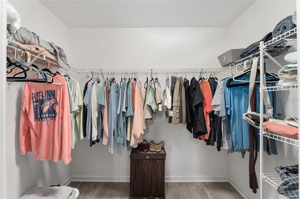 Interior, Walk-in Closets, Wood Texture Flooring
