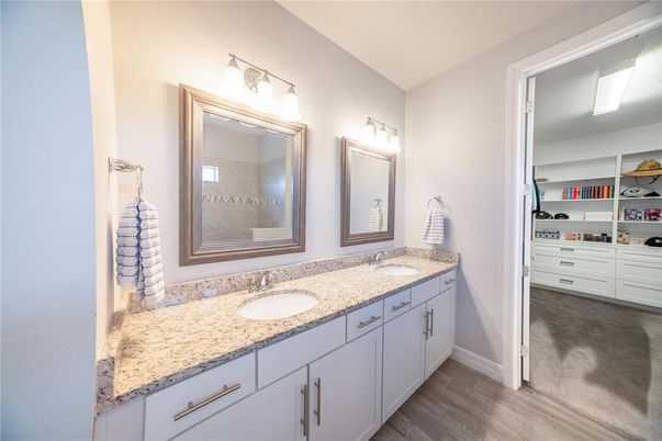 Bathroom, Dual Sink Vanities, Interior, Wood Texture Flooring