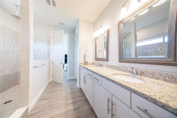 Bathroom, Dual Sink Vanities, Interior, Wood Texture Flooring