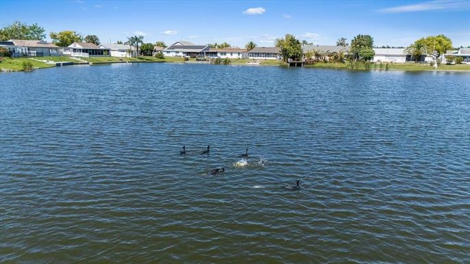 Exterior, Lake