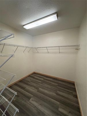Interior, Walk-in Closets, Wood Texture Flooring