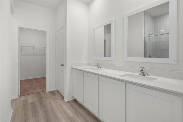 Bathroom, Dual Sink Vanities, Interior, Walk-in Closets, Wood Texture Flooring