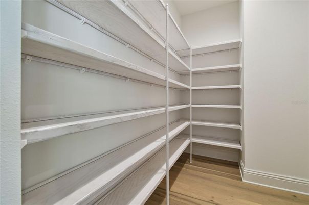 Interior, Walk-in Closets, Wood Texture Flooring