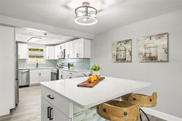 Interior, Kitchen, Stainless Steel Appliances, Wood Texture Flooring