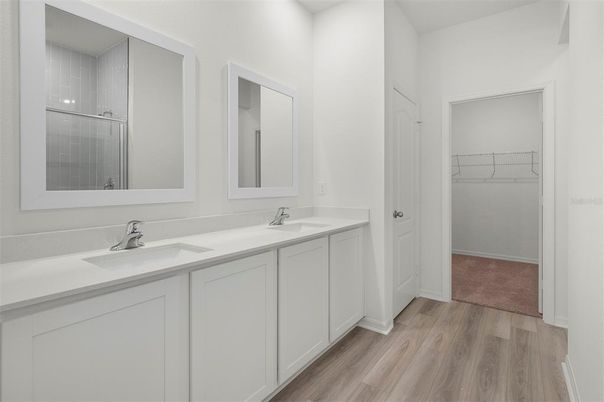 Bathroom, Dual Sink Vanities, Interior, Walk-in Closets, Wood Texture Flooring