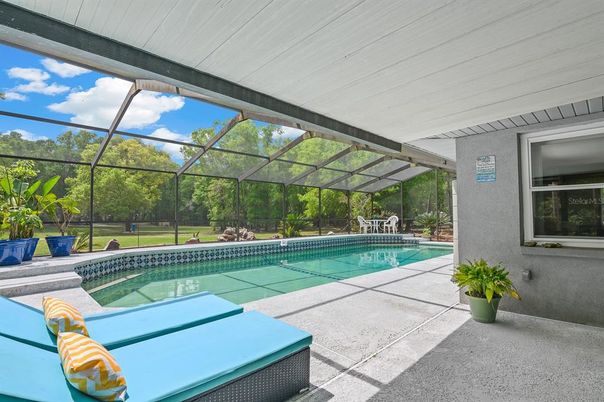 Glass Ceilings, Interior, Pool, Sun Room