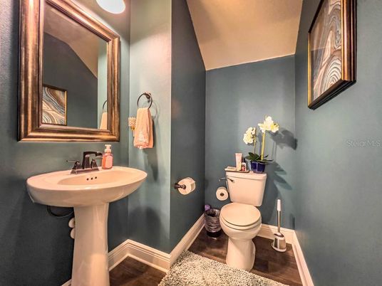 Bathroom, Interior, Wood Texture Flooring