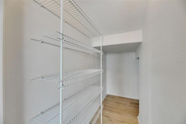 Interior, Walk-in Closets, Wood Texture Flooring