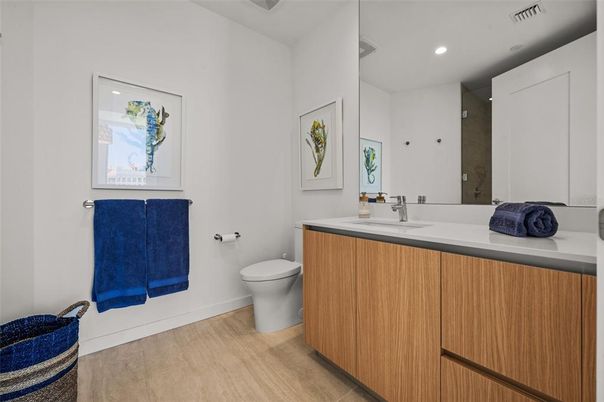 Bathroom, Interior, Recessed Lighting, Wood Texture Flooring